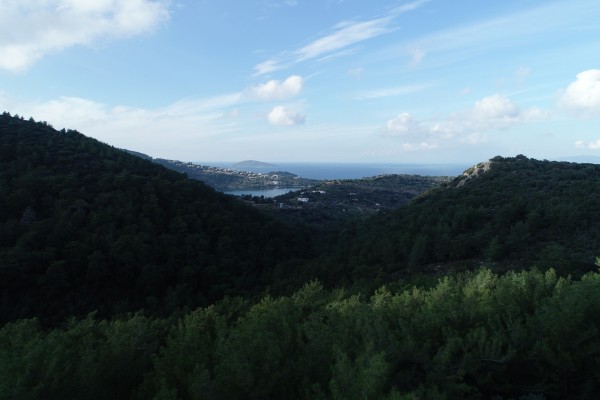 An Bodrum